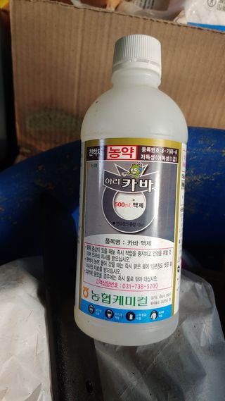 보물섬남자님의 귤 · 영농일지 작성글 사진