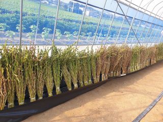 홍미옥님의 자유주제 · 자유게시판 작성글 사진