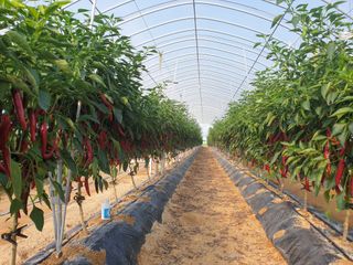 홍미옥님의 자유주제 · 자유게시판 작성글 사진