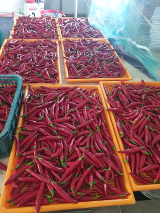 홍미옥님의 자유주제 · 자유게시판 작성글 사진