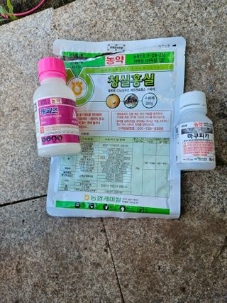 정일선님의 병해충 박멸! 살충제 추천 · 참여글 작성글 사진