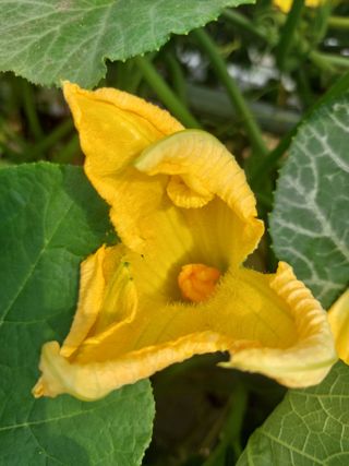 알 수 없음님의 자유주제 · 사진전 작성글 사진