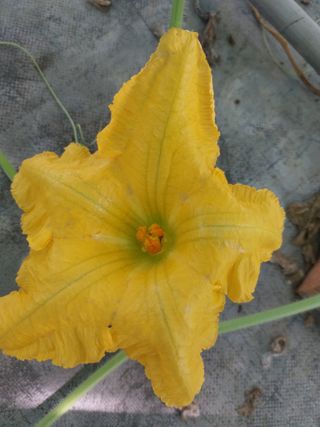 알 수 없음님의 자유주제 · 사진전 작성글 사진