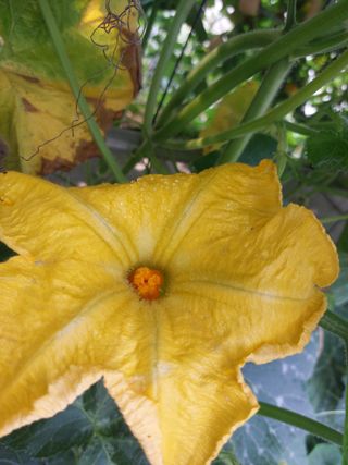 알 수 없음님의 자유주제 · 사진전 작성글 사진