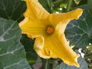 알 수 없음님의 자유주제 · 사진전 작성글 사진