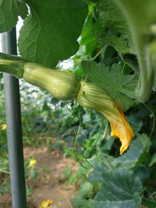 알 수 없음님의 자유주제 · 사진전 작성글 사진