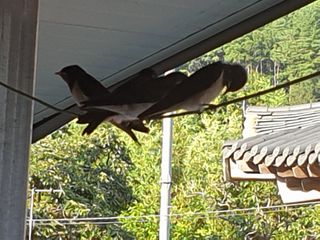 허굴산농장님의 자유주제 · 자유게시판 작성글 사진