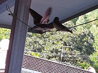 허굴산농장님의 자유주제 · 자유게시판 작성글 사진