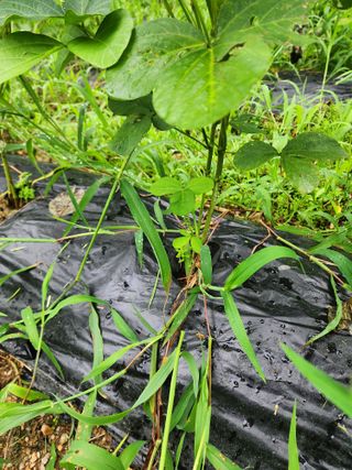 까미네님의 콩 · 자유게시판 작성글 사진