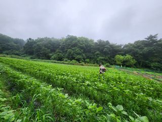 까미네님의 콩 · 자유게시판 작성글 사진