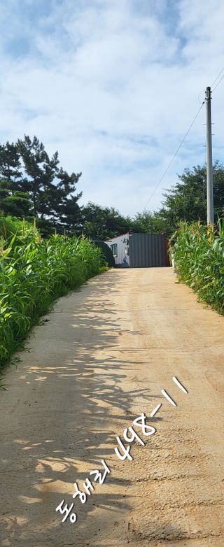 가장현명한man님의 들깨 · 자유게시판 작성글 사진