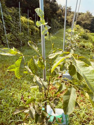 김회철님의 자유주제 · 자유게시판 작성글 사진