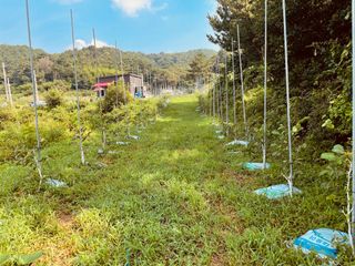 김회철님의 자유주제 · 자유게시판 작성글 사진