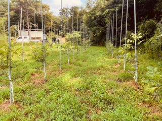 김회철님의 자유주제 · 자유게시판 작성글 사진