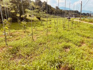 김회철님의 자유주제 · 자유게시판 작성글 사진