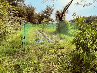 김회철님의 자유주제 · 자유게시판 작성글 사진