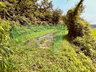 김회철님의 자유주제 · 자유게시판 작성글 사진