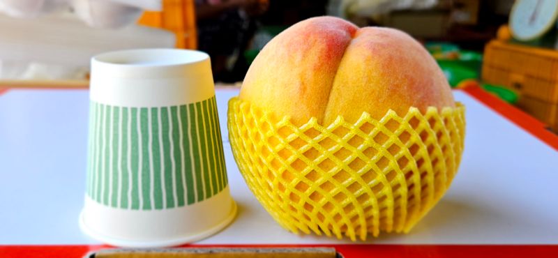 하지훈님의 장터 판매 상품 [(판매완료)복숭아 골드로망4kg] 첨부 사진