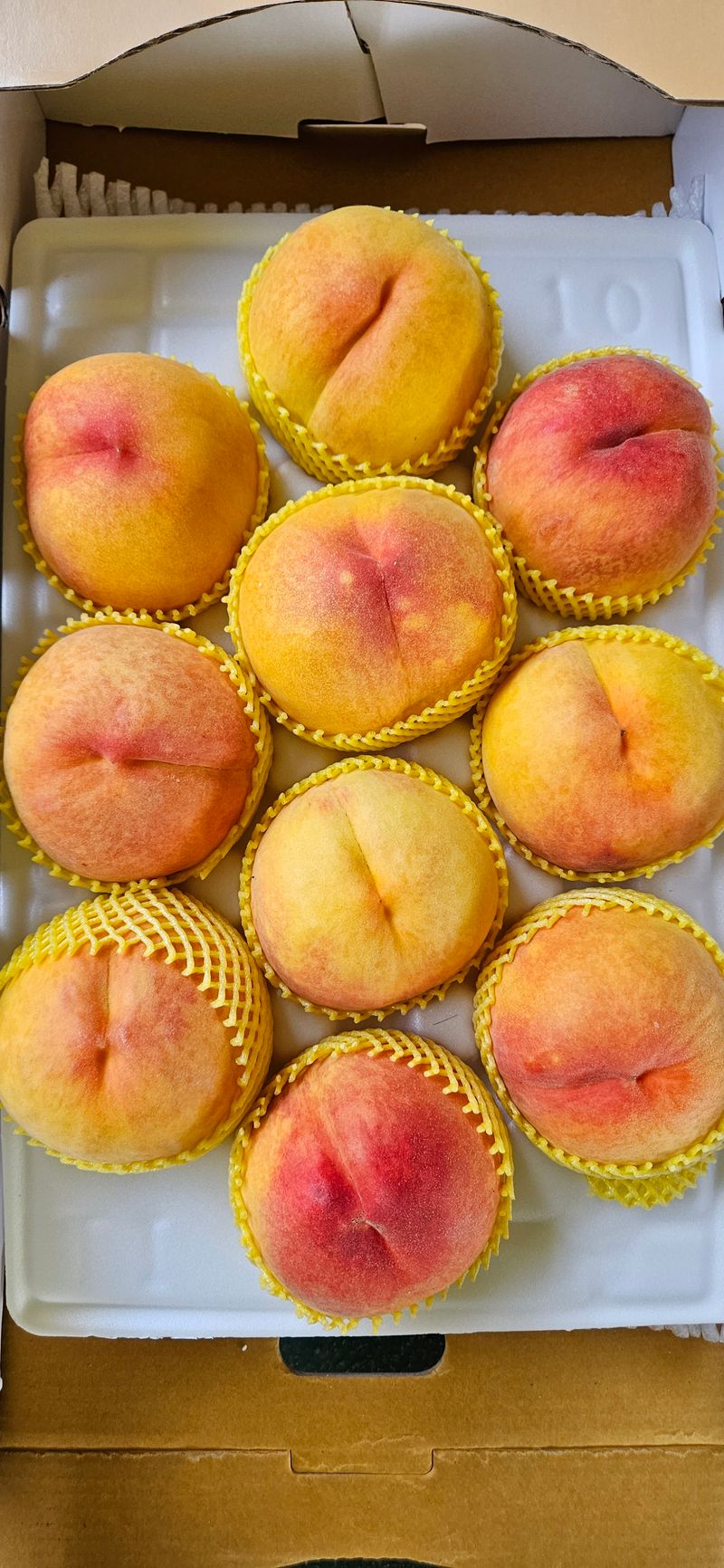 하지훈님의 장터 판매 상품 [(판매완료)복숭아 골드로망4kg] 첨부 사진