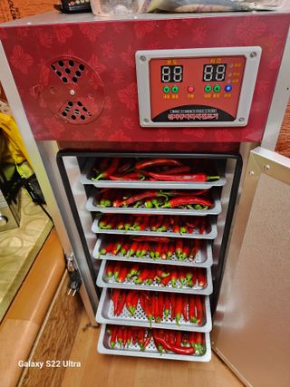 박해용(세건농장)님의 고추 · 수확 작성글 사진