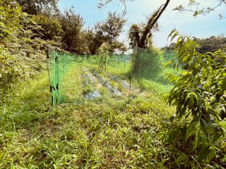 김회철님의 기타작물 · 영농일지 작성글 사진