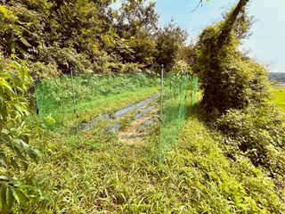 김회철님의 기타작물 · 영농일지 작성글 사진