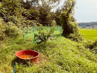 김회철님의 기타작물 · 영농일지 작성글 사진