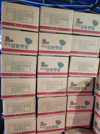 준영농장 출석왕.님의 들깨 · 자유게시판 작성글 사진