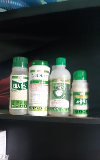 티케이팜님의 병해충 박멸! 살충제 추천 · 참여글 작성글 사진