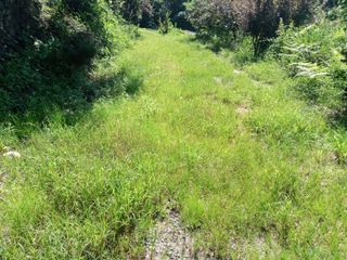 우곡123님의 감 · 영농일지 작성글 사진