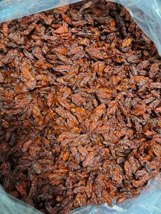 갈산구기자님의 기타작물 · 영농일지 작성글 사진