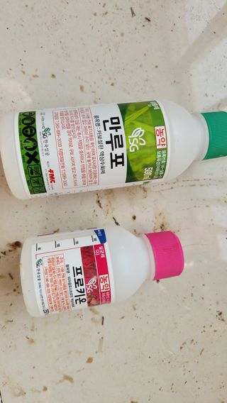 제부도그린농원님의 사과 · 병해충상담 작성글 사진