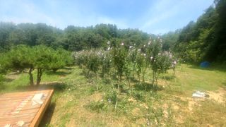 황영출님의 기타작물 · 영농일지 작성글 사진