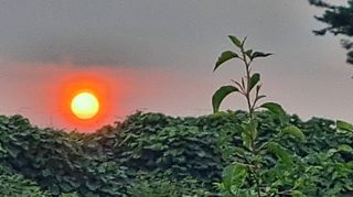 이정운님의 우리동네 · 동네자랑 작성글 사진