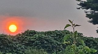 이정운님의 우리동네 · 동네자랑 작성글 사진