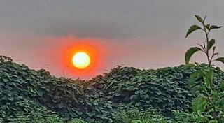 이정운님의 우리동네 · 동네자랑 작성글 사진