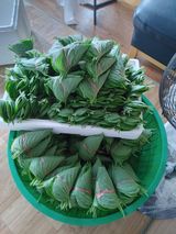 팜모닝 들깨·자유게시판 게시글 이미지