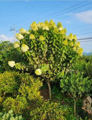김옥균 님의 자유주제 · 자유게시판 작성글 사진