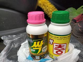 한소현님의 병해충 박멸! 살충제 추천 · 참여글 작성글 사진