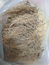 팜모닝 · 게시글 이미지