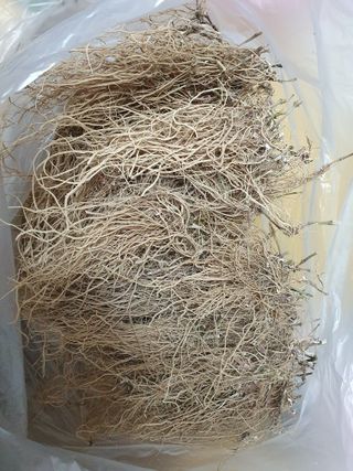 예천토종꿀벌 님의 작성글 사진