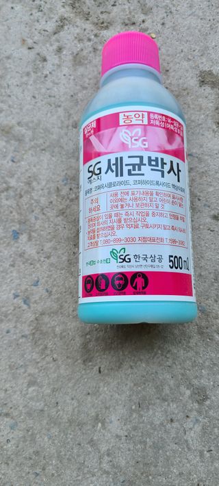 정희조님의 병해충 박멸! 살충제 추천 · 참여글 작성글 사진