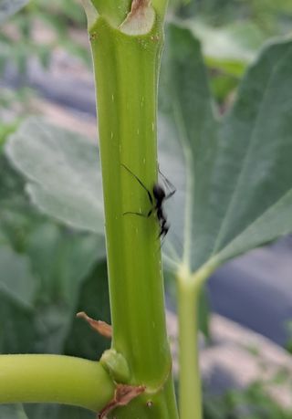 귀농2년/지성훈님의 자유주제 · 자유게시판 작성글 사진