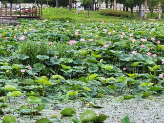 장지영님의 우리동네 · 동네자랑 작성글 사진