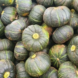 프룻하늬님의 작성글 사진