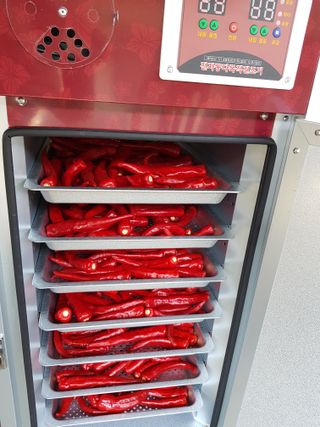 신동수님의 고추 · 저장•가공 작성글 사진