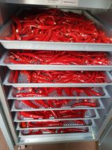 팜모닝 고추·수확 게시글 이미지