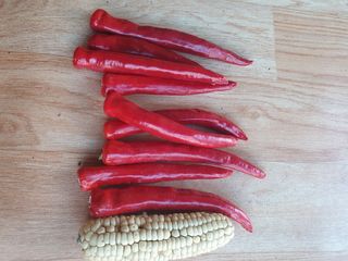 정석기님의 고추 · 일상 작성글 사진