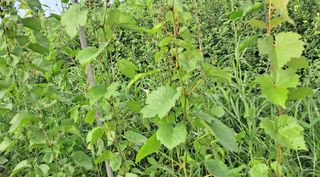 이정운님의 기타작물 · 자유게시판 작성글 사진