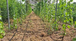 이정운님의 기타작물 · 자유게시판 작성글 사진